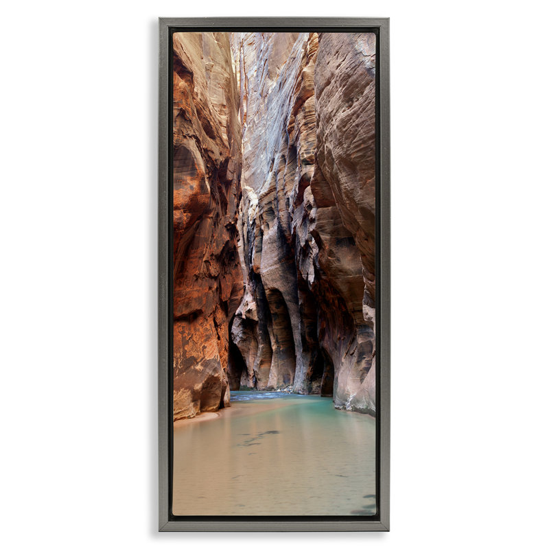 Falaises du parc national de Zion, Cadre flottant gris lustré, H 25 po x l 11 po