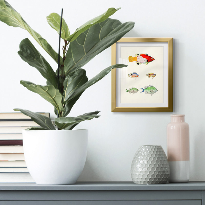 Regiene -Gallery Wrapped Canvas