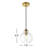 Inola 1-Light Dimmable Pendant -919396349