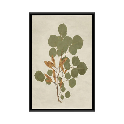 Botanical Leaves III