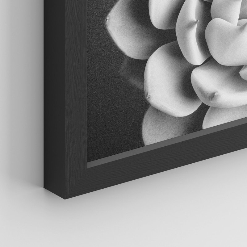 "Succulent cactus noir et blanc en fleurs" sur papier, H 10 po x l 8 po, Noir