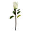 Plastic, Silk Artificial Arrangement-106401561