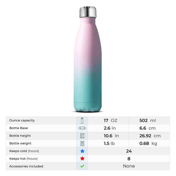 Ombre 17 oz Water Bottle