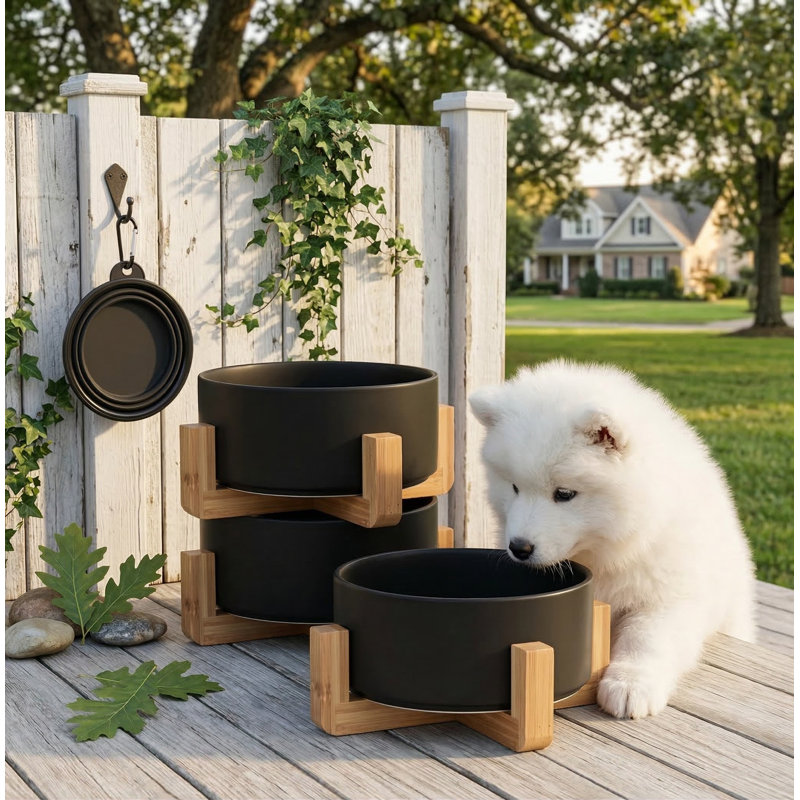 Ensemble de bols en céramique noir pour chat et chien avec support antidérapant de 13,5 oz chacun