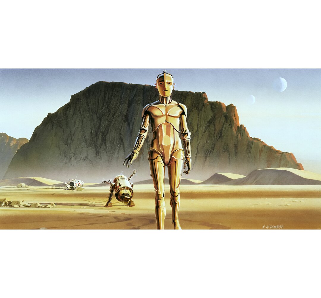 Tapete Star Wars Classic Rmq Droids 2,5m x 500 cm