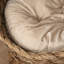 Cat Tree-86896914