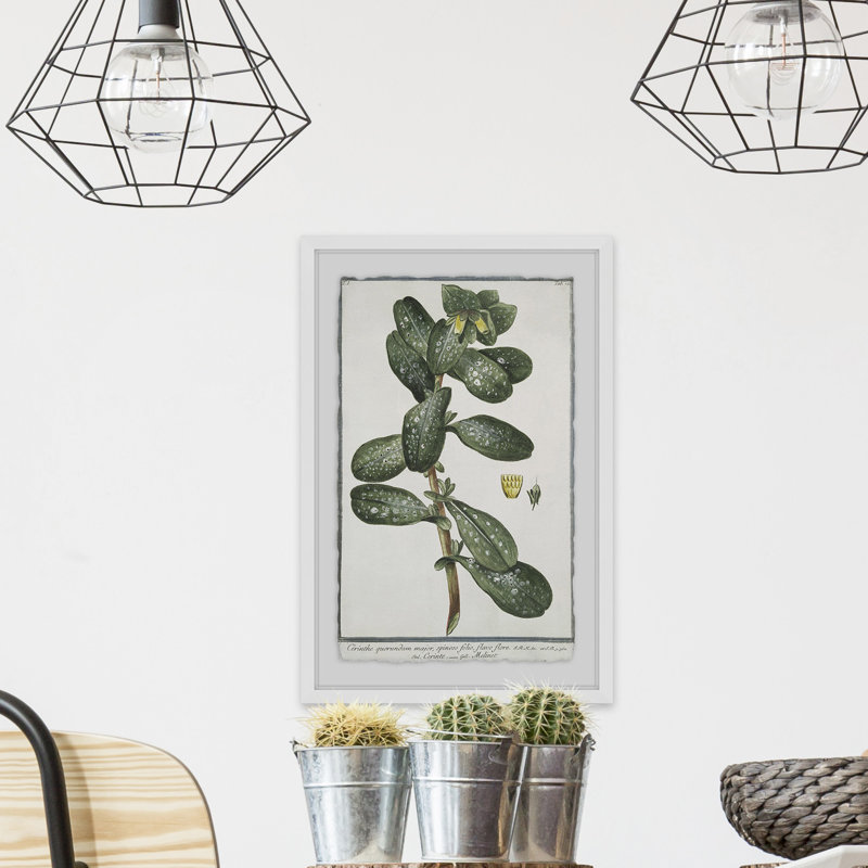 The Foliage by Parvez Taj - Single Picture Frame Print, 61 cm H x 41 cm W x 4 cm D