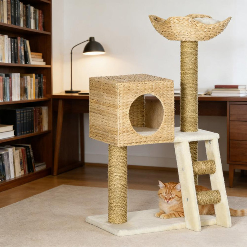 Arbre à chat, arbre à chat tressé pour l'intérieur, tour de chats