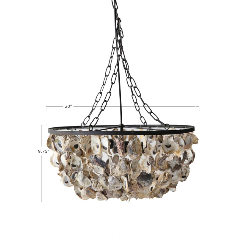 Round Oyster Shell Chandelier With 2 Lights, Coastal-Inspired Metal Frame, And Draped Natural Shells