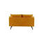Dafinka 2 Seater Velvet Sofa-814407974