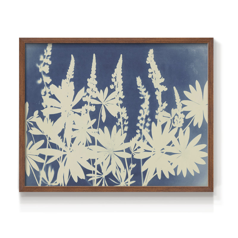 Lovely Lupine -Framed Print - Restickable, 11" H x 14" W, Walnut