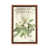 Toile classique avec cadre brun