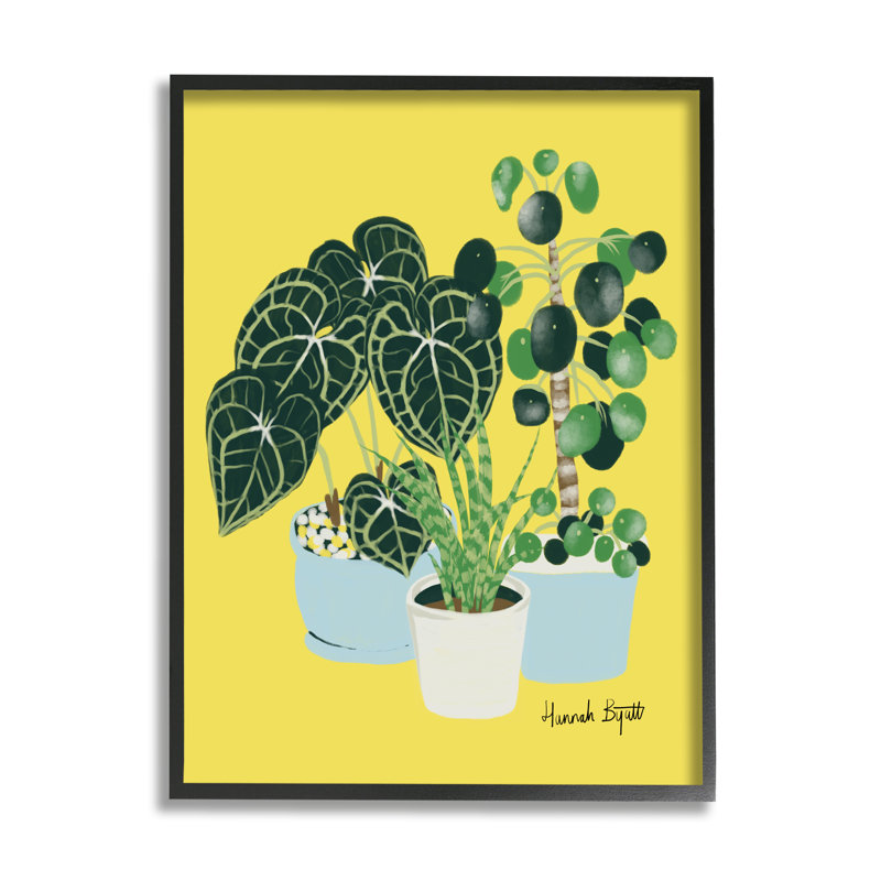 "House Plants On Yellow On Wood" par Hannah, impression, H 14 po x l 11 po x P 1,5 po, Giclée encadrée noir minuit