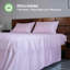 Ensemble de lit en draps 100% coton naturel Home Prides - satin de coton à densité de tissage 400-113839466-113839454