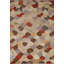 Tapis moderne All-Over Gabbeh 5 x 6