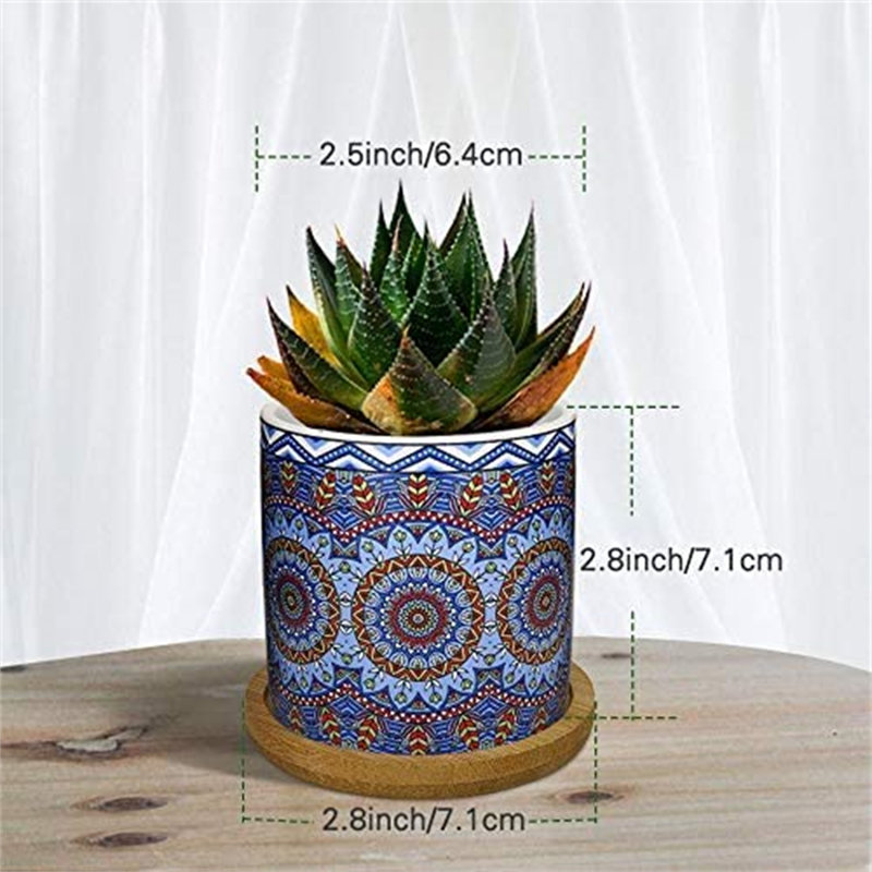 Caludia Ceramic Pot Planter