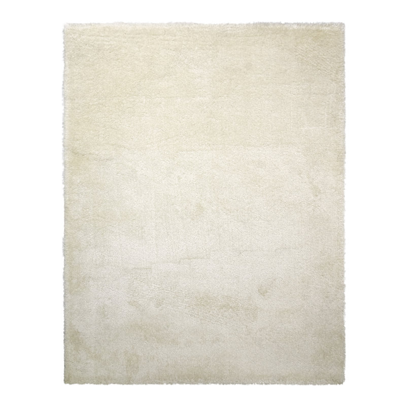 Tapis d'intérieur à poils longs Cason Anona, Rectangle 6 pi 6 po x 9 pi 6 po
