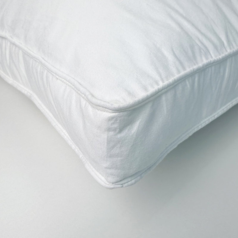 Oreiller en duvet de plumes, Standard
