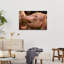 Baby Elephant Love Contemporary Elephant Nature Wildlife Wall Art Print by Jeffrey C. Sink - 1 Piece Wrapped Canvas Wall Art-1337621338