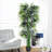 70.75'' Faux Moss Tree in Cement Pot