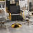 Hydraulic Salon Chair - 360° Swivel Barber Stylist Chair With Pump, Non-Tilting Hairdressing Chair For Hair Salons, Tattoo & Beauty Spa (Professional Stylist Equipment)(Black+Gold)
