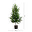 Artificial Norfolk Pine Tree-905056968