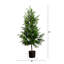 Pin artificiel Norfolk-905056968