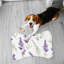 Serene Lavender - 1 Piece Bone Shape Feeding Mat-101634677