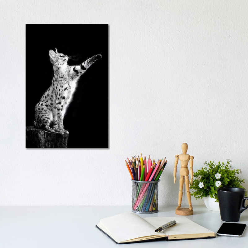 Serval by David Whelan - Wrapped Canvas Painting, 20.32 cm H x 30.48 cm W