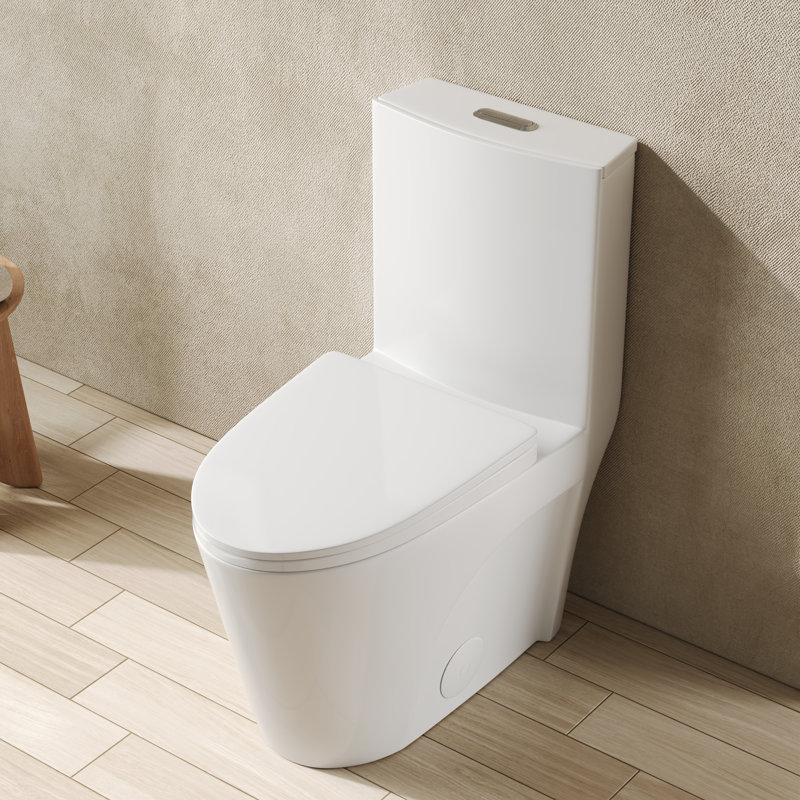 Toilette allongée moderne monobloc Ace 1,6 GPF, Blanc, 12"