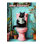 Northern Collection Writing Detailed Colorful Bath Black Cat Patterned Woven Base Decorative Rug