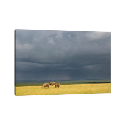 Africa, Kenya, Maasai Mara National Reserve. Storm Clouds Over Elephants at Sunset 1 Piece Wrapped Canvas Wall Art