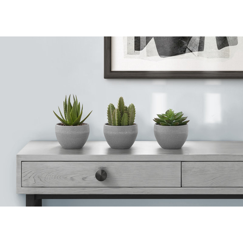 Plante grasse artificielle 5,75 po en pot de mélamine