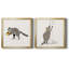 Rascally Raccoon III - ensemble de 2 cadres photo-866149558-866149554-861547198