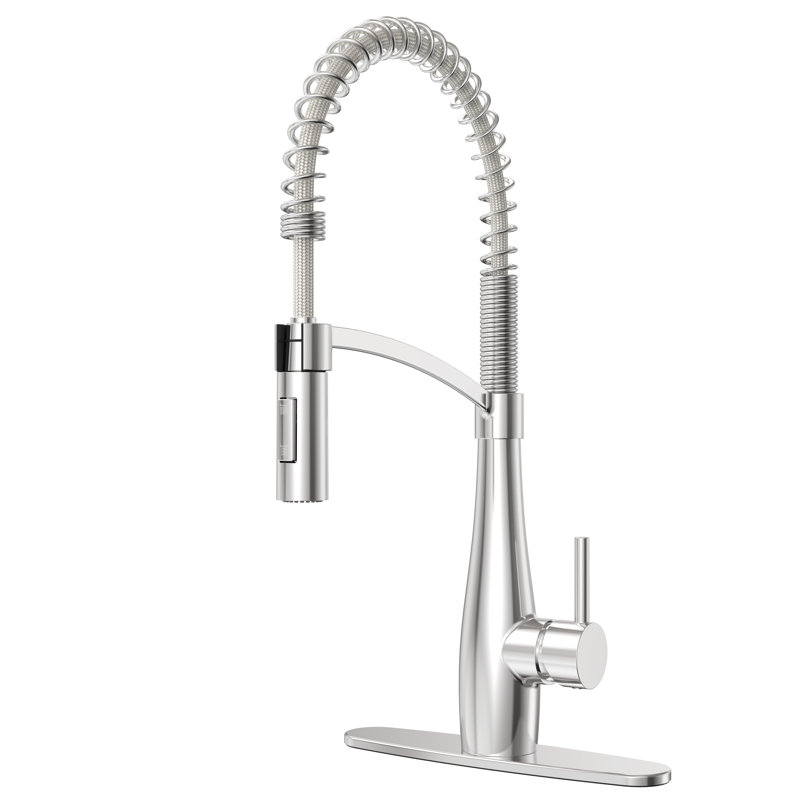 RoomTec Pull Down Kitchen Faucet