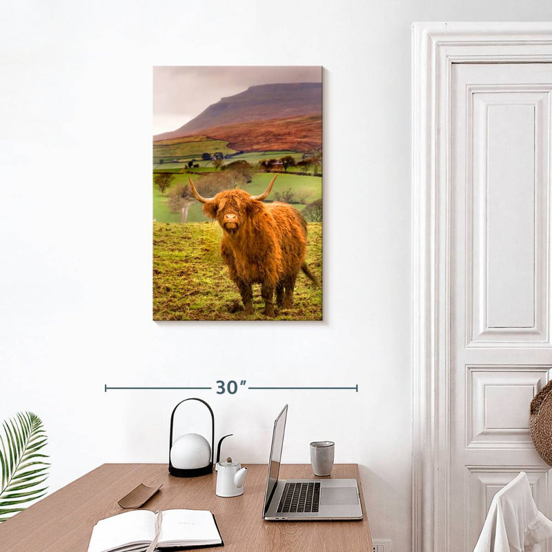 Brampt Bowland Highland Cow, H 30 po x l 20 po