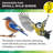 Ai Smart Wild Bird Feeder