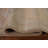 Wool Oriental Rug