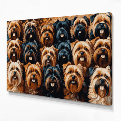 Dogs Brussels Griffon Black Canvas Wall Art