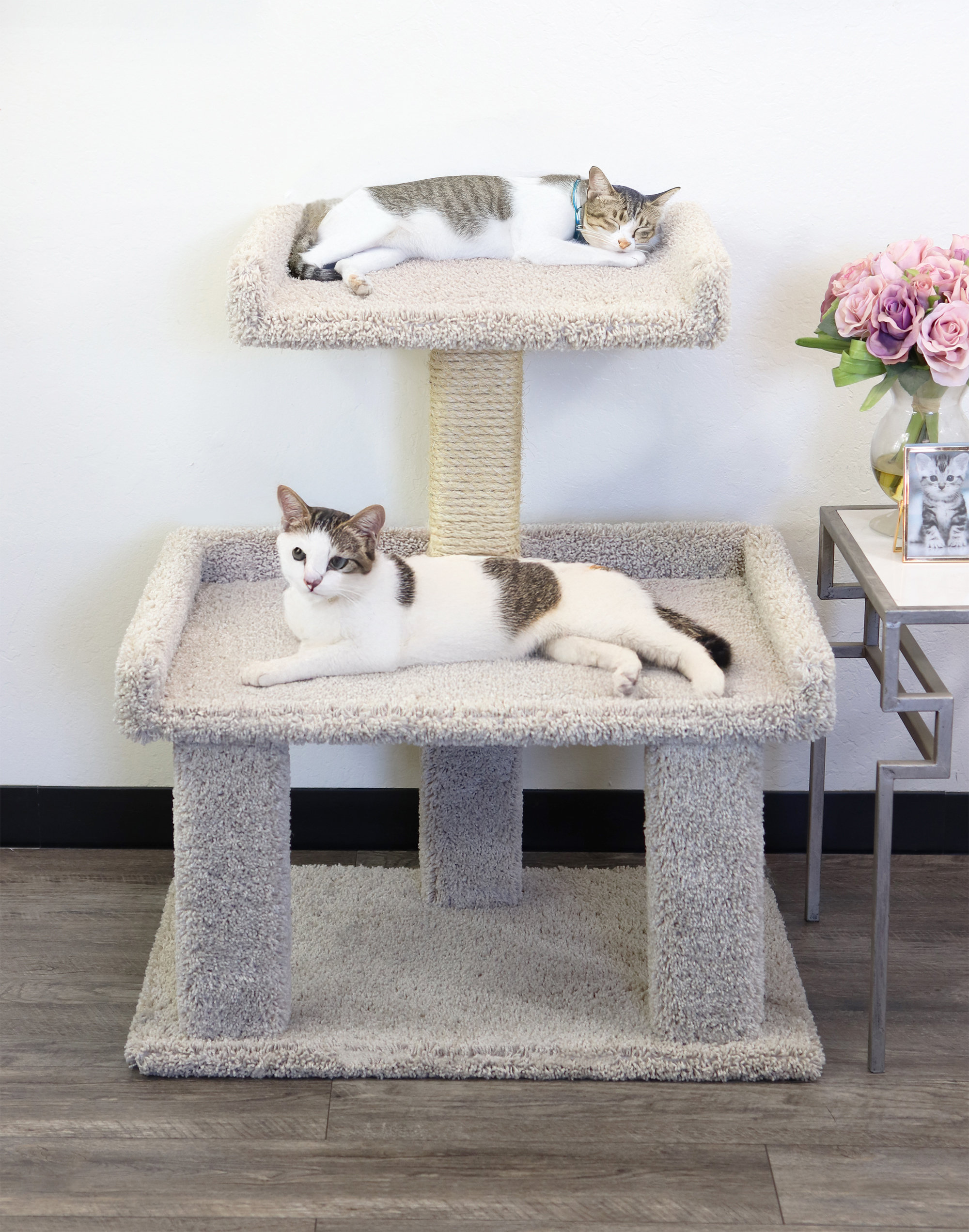 Prestige Cat Trees 34.5'' H Cat Tree & Reviews | Wayfair