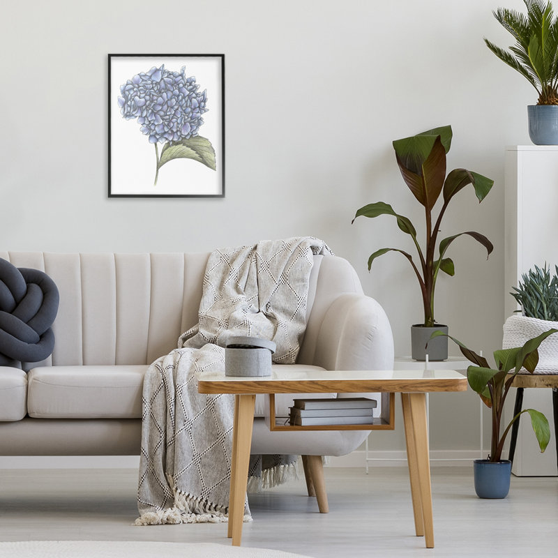 Hydrangée, croquis, giclée encadrée, conception par Cecilia Battaini, H 14 po x l 11 po, Giclée encadrée noir minuit