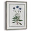 «Soft Botanical II», reproduction encadrée - bois massif 47461-2018994758