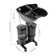 14.76'' L x 19.09'' W Black Free Standing Shampoo Sinks