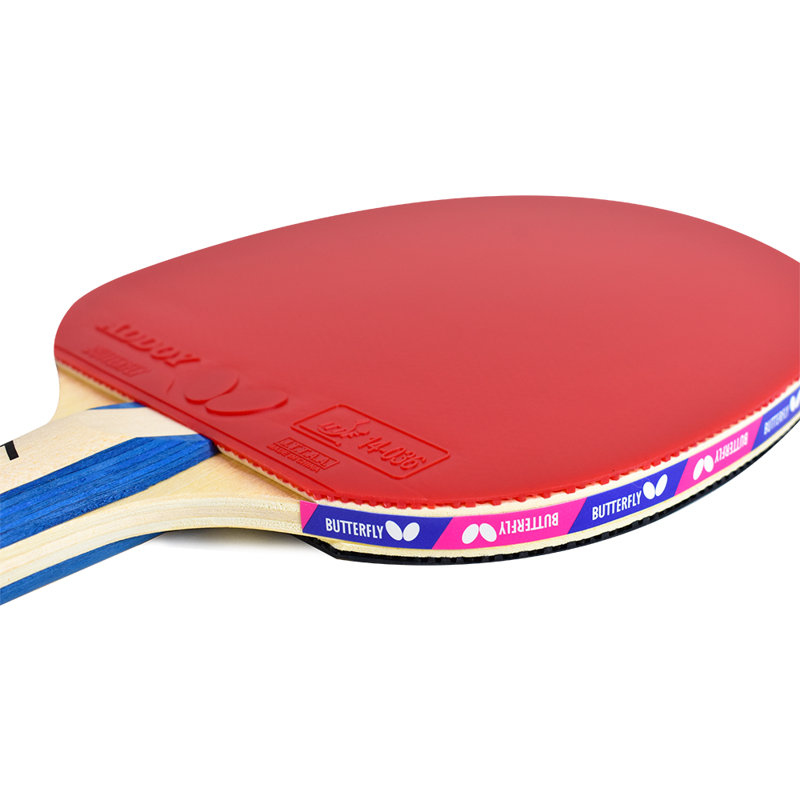 Butterfly Lin Yun-Ju 2 Shakehand Table Tennis Racket - Maximum Control For Novice Players - Lin Yun-Ju Series - Recommended For Beginning Level Players - International Table Tennis Federation Approved
