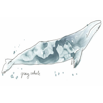 Cetacea Grey Whale by June Erica Vess - Wrapped Canvas Art Prints