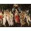 The Spring by Sandro Botticelli - Wrapped Canvas Print-856541473