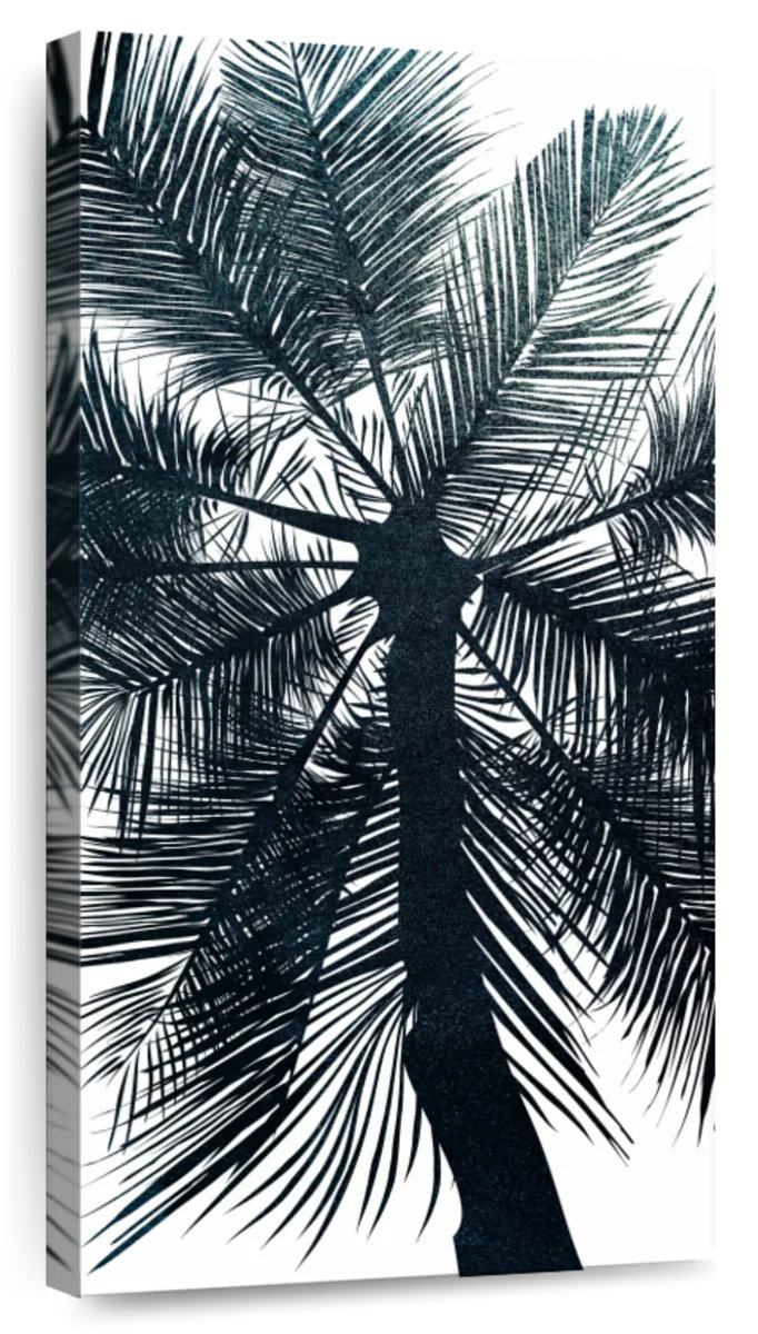 Lark Manor™ Miami Beach Palm Tree | Wayfair