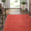 Moondrops Red Laquer Area Rug in Red-45411001