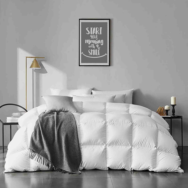 All Season Down Comforter, Single