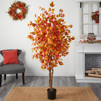 72 " H Faux Ficus Tree in Plastic Freestanding
